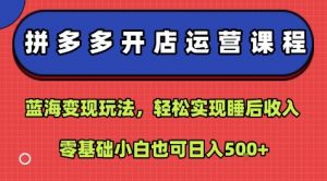 拼多多开店运营课程:蓝海变现玩法,轻松实现睡后收入,零基础小白也可日入5张-个人经验技术分享