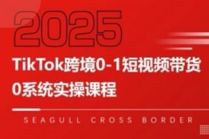 TikTok跨境0-1短视频带货,系统拆解TikTok跨境带货全链路,实现跨境可持续盈利-个人经验技术分享