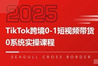 TikTok跨境0-1短视频带货，系统拆解TikTok跨境带货全链路，实现跨境可持续盈利 -1