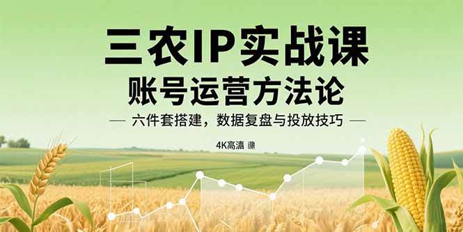 三农IP实战课：账号运营方法论，六件套搭建，数据复盘与投放技巧 -1