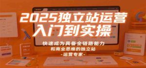 2025独立站运营入门到实操,快速成为具备全链路能力和商业思维的独立站运营专家-个人经验技术分享