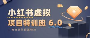 小红书虚拟项目特训课6.0,帮你从0到1打造稳定盈利的店铺,抓住流量红利-个人经验技术分享