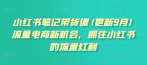 小红书笔记带货课(更新25年9月)流量电商新机会，抓住小红书的流量红利-个人经验技术分享
