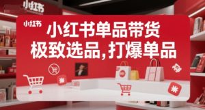 小红书单品带货，极致选品，打爆单品（更新）-个人经验技术分享