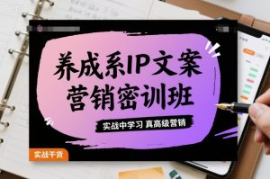 养成系IP文案营销密训班，实战中学习真高级营销-个人经验技术分享