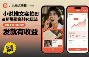 小说推文实拍双图文最新爆量高转化玩法,全程干货,0粉起步,发就有收益-个人经验技术分享