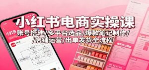 小红书电商实操课：账号搭建/多平台选品/爆款笔记制作/店铺运营/出单发货全流程-个人经验技术分享